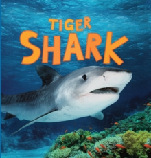 Image for Discover Sharks: Tiger Shark