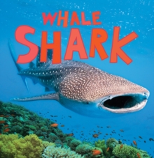 Image for Discover Sharks: Whale Shark