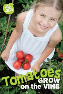 Image for Tomatoes grow on vines