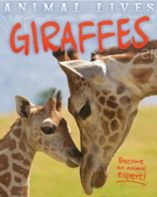 Image for Animal Lives: Giraffes