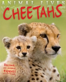 Image for Cheetahs