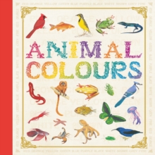Image for First Concept: Animal Colours