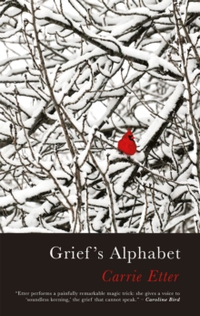 Image for Grief's alphabet