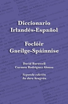 Image for Diccionario Irlandes-Espanol - Focloir Gaeilge-Spainnise