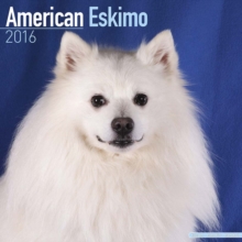 Image for American Eskimo Calendar 2016