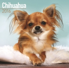 Image for Chihuahua Calendar 2016