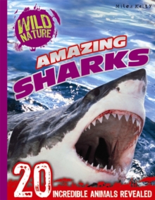 Image for Amazing sharks