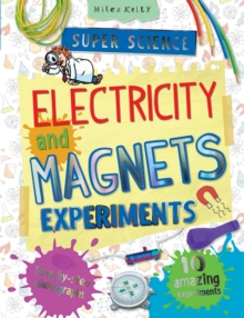 Image for Electricity and magnets experiments