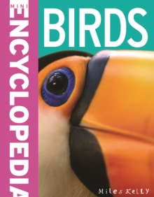 Image for Mini Encyclopedia - Birds