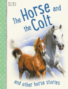 Image for Horse & the Colt