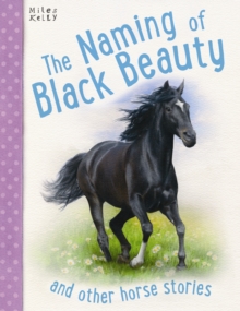 Image for The naming of Black Beauty