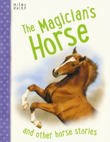 Image for The magician's horse