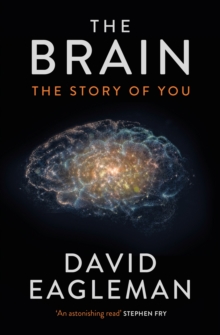 Image for The brain  : the story of you
