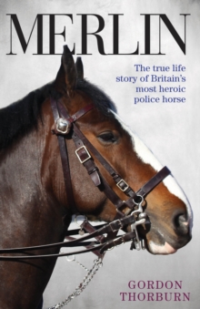 Image for Merlin  : the true story of a courageous police horse