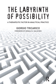 Labyrinth of Possibility