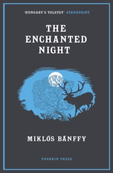 Image for Enchanted night  : selected tales