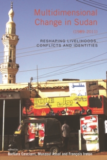 Image for Multidimensional change in the Republic of Sudan (1989-2011): reshaping livelihoods, conflicts, and identities