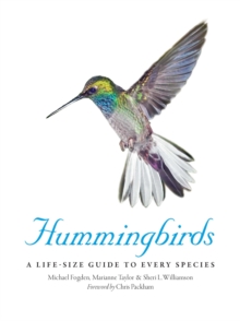 Image for Hummingbirds: A Life-Size Guide to Every Species