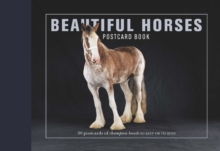 Image for Beautiful Horses Postcard Book : 30 Postcards of Champion Breeds to Keep or to Send