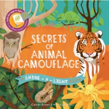 Image for Shine a Light: Secrets of Animal Camouflage