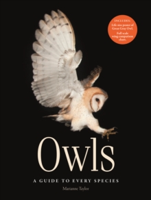 Image for Owls  : a guide to every species