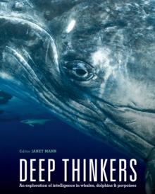 Image for Deep thinkers  : an exploration of intelligence in whales, dolphins, and porpoises