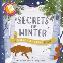 Shine a Light: Secrets of Winter