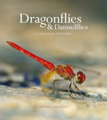 Image for Dragonflies & Damselfies