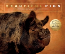 Image for Beautiful pigs  : portraits of champion breeds