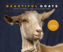 Image for Beautiful goats  : portraits of champion breeds