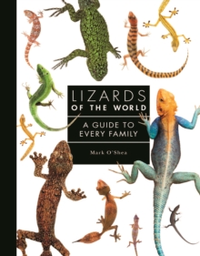 Image for Lizards of the world  : a guide to every family