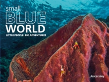 Image for Small Blue World