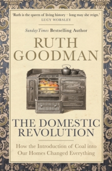 Image for The domestic revolution : how the introduction of coal into our homes changed everything