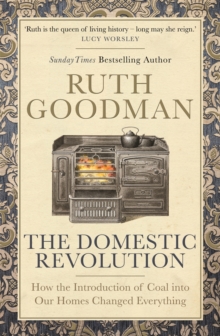 Image for The domestic revolution  : how the introduction of coal into our homes changed everything