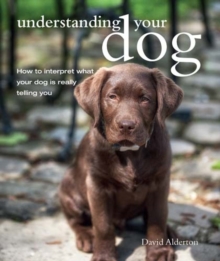 Image for Understanding your dog  : how to interpret what your dog is really telling you