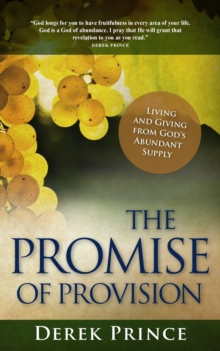 Image for The Promise of Provision