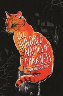 Image for The hundred names of darkness