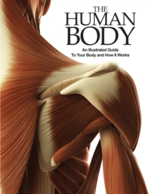 Image for The human body: an illustrated guide to your body and how it works