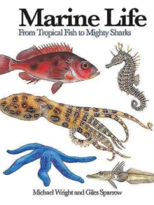 Image for Marine life  : from tropical fish to mighty sharks