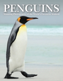 Penguins: Stunning Photographs of the World’s Favourite Seabird