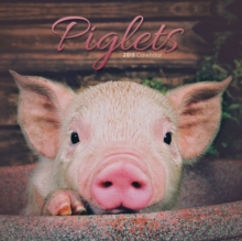 Image for Piglets Mini : Mini