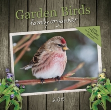 Image for Garden Birds Wall : 12x12 Planner