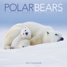 Image for Polar Bears Wall