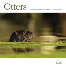 Image for Otters Wall