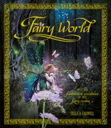 Image for Fairy World
