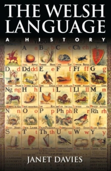 Image for The Welsh language  : a history