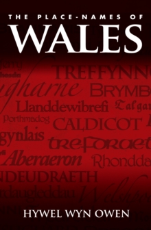 Image for The place-names of Wales
