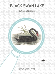 Image for Black swan lake: life of a wetland