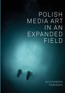 Polish Media Art in an Expanded Field