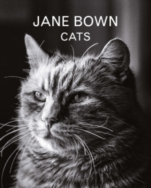 Jane Bown: Cats